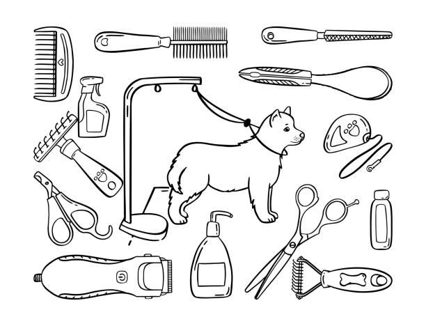 Pet Set Grooming: A Comprehensive Guide