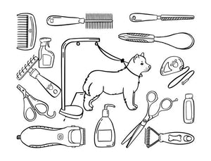 Pet Set Grooming: A Comprehensive Guide