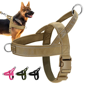 Dog Harness