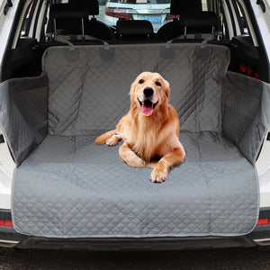 Pet Travel Carrier