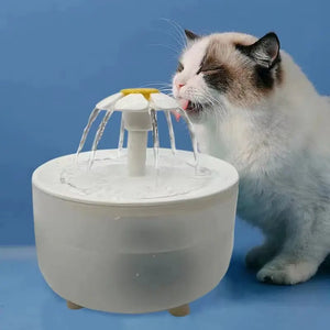 Pet Water Fountain