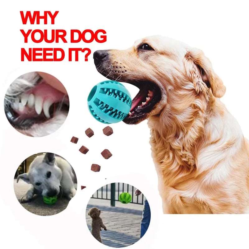 Soft Pet Dog Toys Toy Funny Interactive Elasticity Ball Dog Chew Toy For Dog Tooth Clean Ball Food Extra-tough Rubber Ball Dog